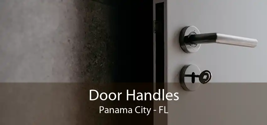 Door Handles Panama City - FL